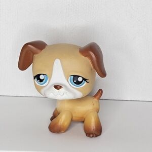 LITTLEST PET SHOP LPS #218 Vintage Authentic Dog Brown White Boxer Blue Eyes